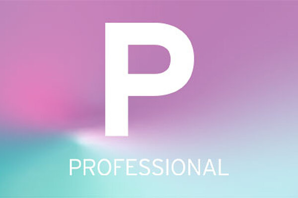 PROFESSIONAL